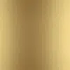 BR - Brushed Brass
